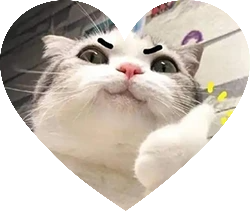 Khách hàng Chí Văn Phèo